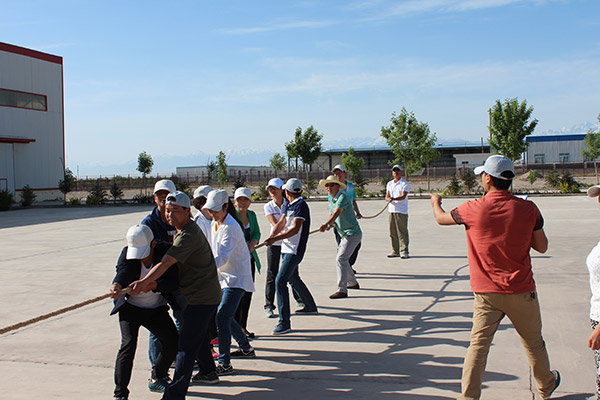 2015�T�����