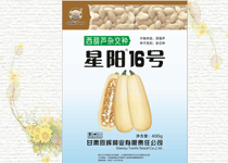 ���16̖(h��o)